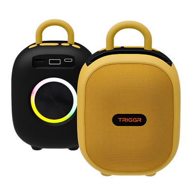 Bluetooth Speaker